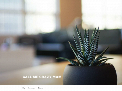 callmecrazymom.com snapshot
