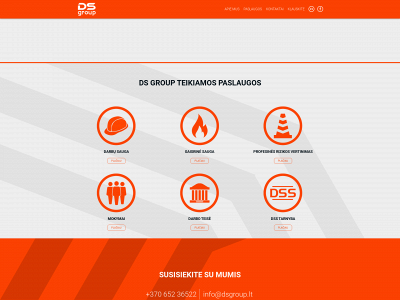 dsgroup.lt snapshot