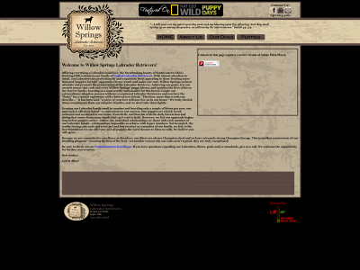willowspringslabs.com snapshot