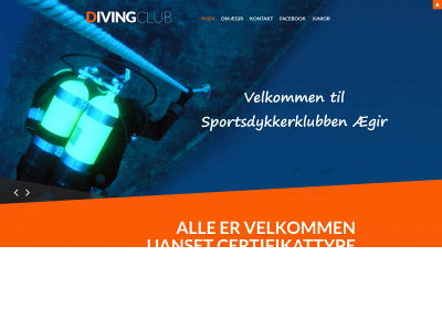 aegiresbjerg.dk snapshot