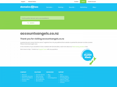accountsangels.co.nz snapshot