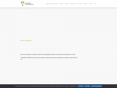 solheimpsykoterapi.dk snapshot