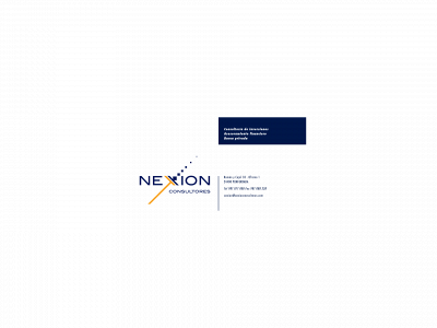 nexionconsultores.com snapshot