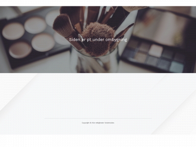 beyondbrushes.dk snapshot