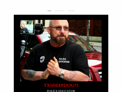 txsheepdog.com snapshot