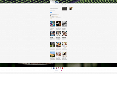 awinestory.com snapshot