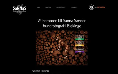 sannasdd.com snapshot