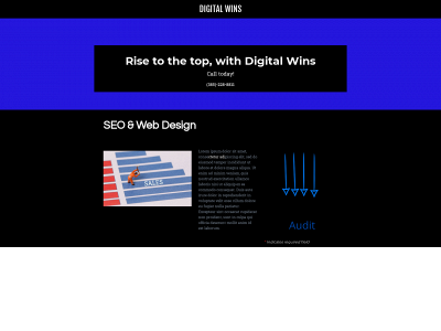 www.onlinemarketingwins.com snapshot