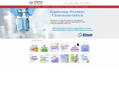 everonlife.com snapshot