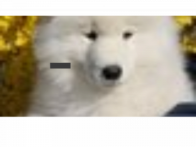 snowsmile.dk snapshot