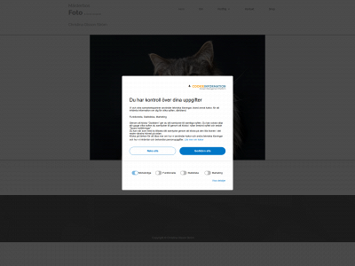 masterbos.se snapshot