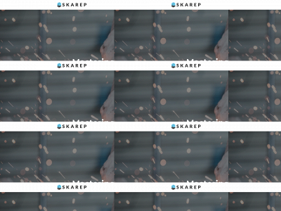 skarep.dk snapshot