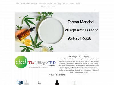www.tmvillageambassador.com snapshot