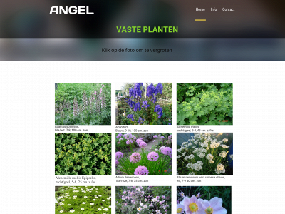 angelvasteplanten.nl snapshot