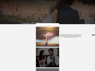 heartscrydragonfly.com snapshot