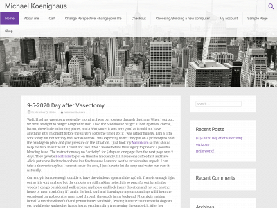 michaelkoenighaus.com snapshot