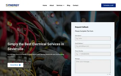 synergyelectriccorp.net snapshot