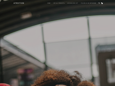 afroition.com snapshot