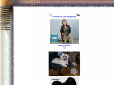 karesinda.com snapshot