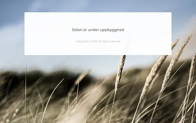 sundetreklam.se snapshot