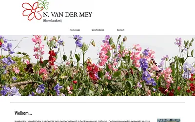 nvandermey.nl snapshot