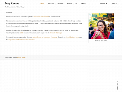 tessyschlosser.com snapshot