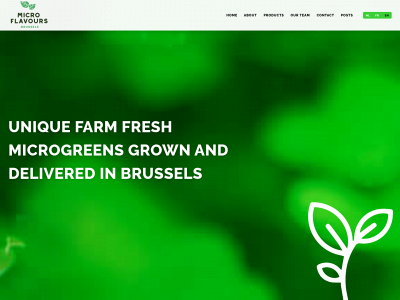 microflavours.brussels snapshot