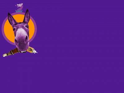 donkeykuntz.co.uk snapshot