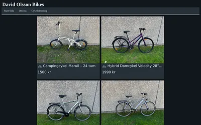 davidolssonbikes.se snapshot