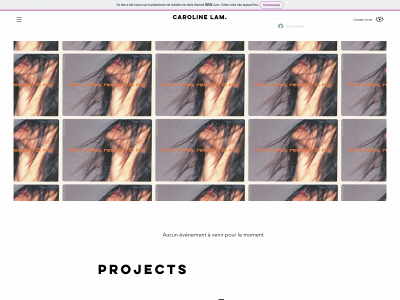 carolinelam.ch snapshot