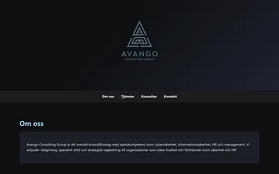 avangoconsulting.com snapshot