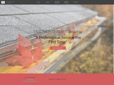 midtenngutters.com snapshot