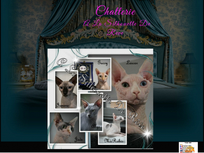 chatterie-a-la-silhouette-de-reve.com snapshot