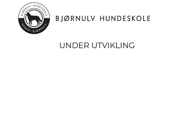 bjornulv.no snapshot