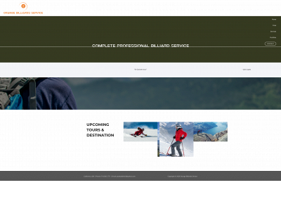 orangebilliardsservice.com snapshot