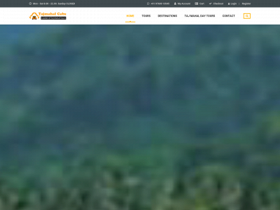 tajmahalvacation.com snapshot