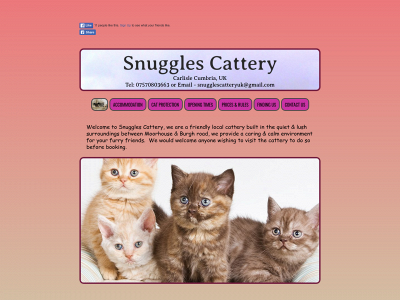 snugglescattery.co.uk snapshot