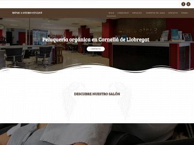 www.monicaoterostylist.es snapshot