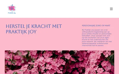 praktijkjoy.online snapshot