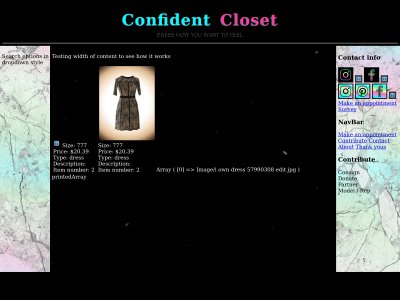 confidentclosetutah.com snapshot