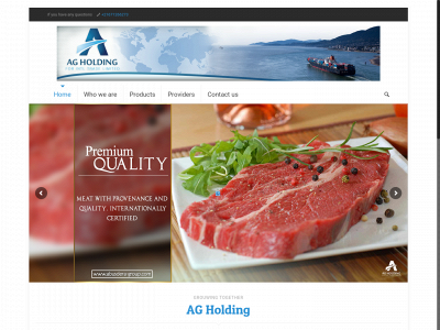 ag-holding.net snapshot