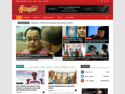 tagarnews.com snapshot