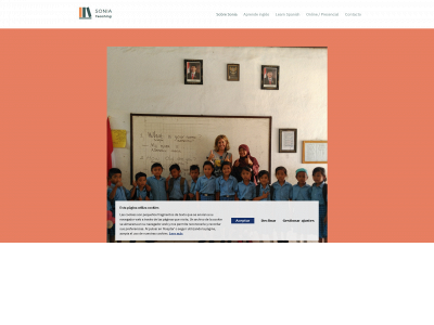 soniateaching.com snapshot