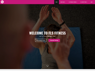 www.fls-fitness.co.uk snapshot