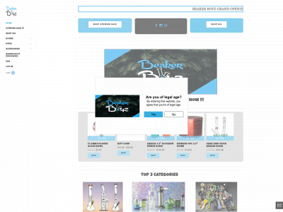 www.beakerboyz.com snapshot