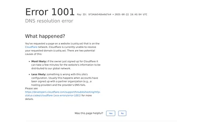 custiq.se snapshot