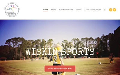 wiskinsports.com snapshot