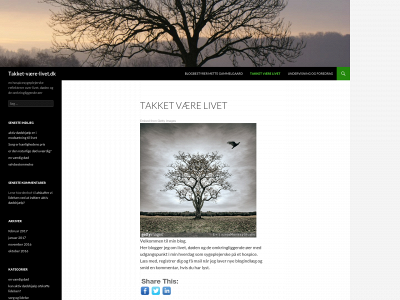 mettegammelgaard.dk snapshot