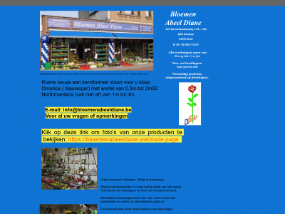 bloemenabeeldiane.be snapshot