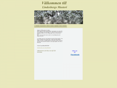 lindesbergsmusteri.se snapshot